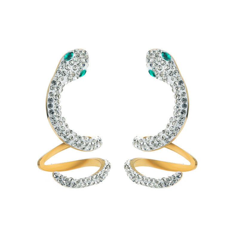 Trendy Titanium Steel Earrings Female Hollow Fashion Snake-Shaped Personality Creative Earrings Stainless Steel Jewelry