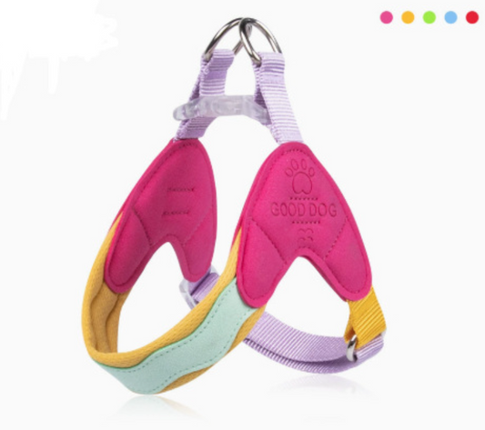 Pet Harness for Small Dogs and Cats